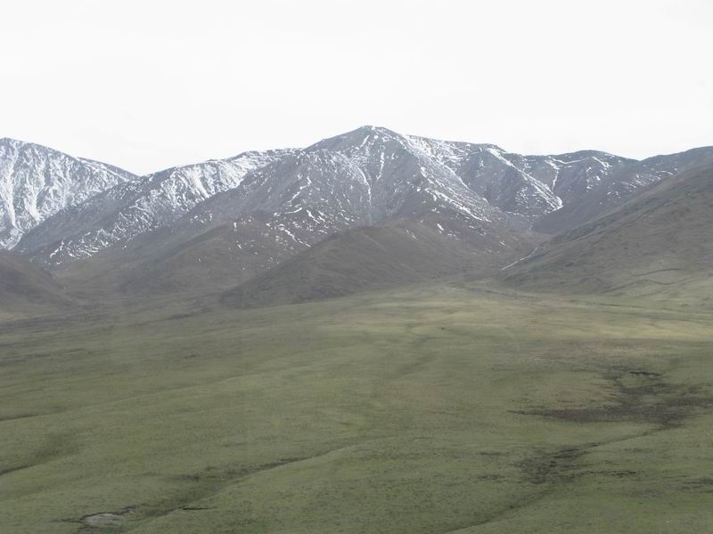 ������С IMG_3341.jpg