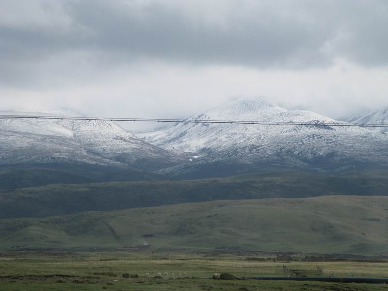 ������С IMG_3205.jpg