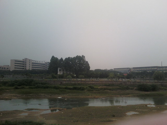 �Ӷ԰����ɸ���ѧ