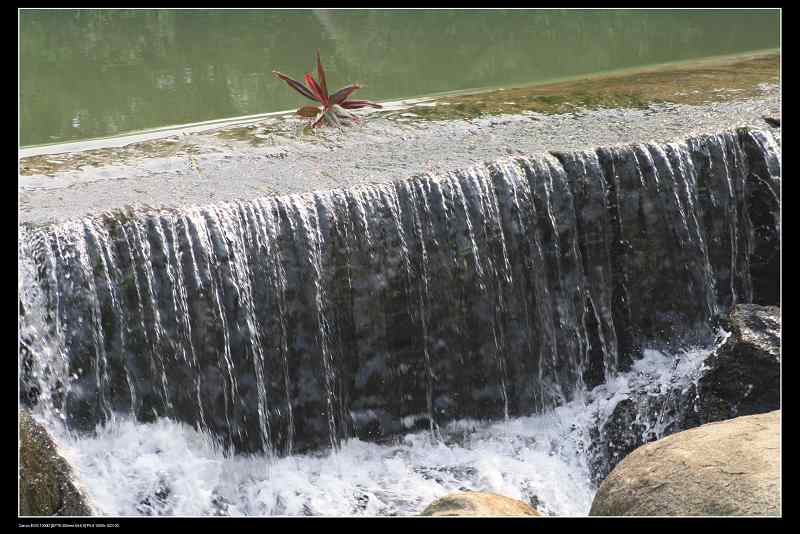 ���� 100.jpg