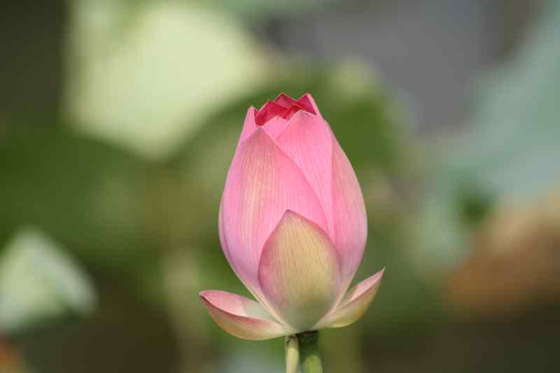 ���� 144.jpg