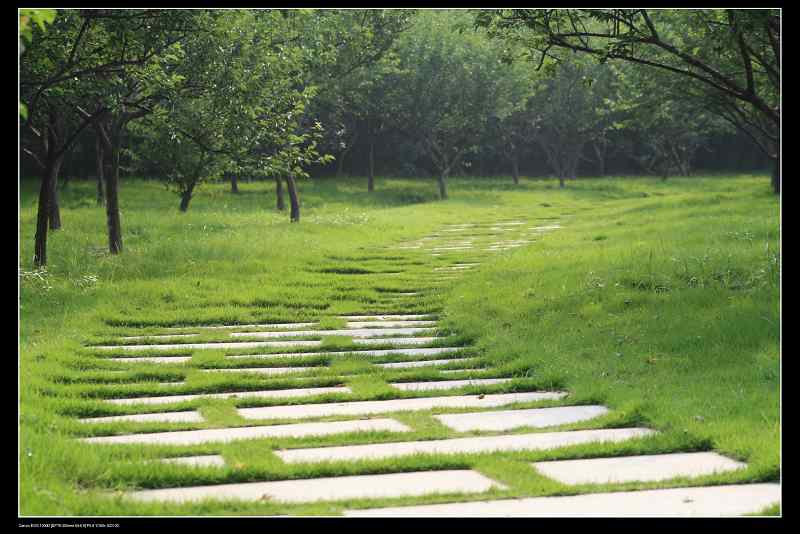 ���� 079.jpg