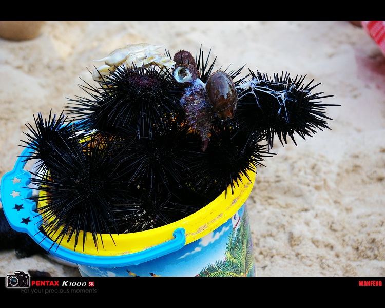 �ܿ����Ǿ�����ս��Ʒ,��ζ�ĺ���