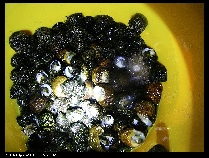 ������ҹ