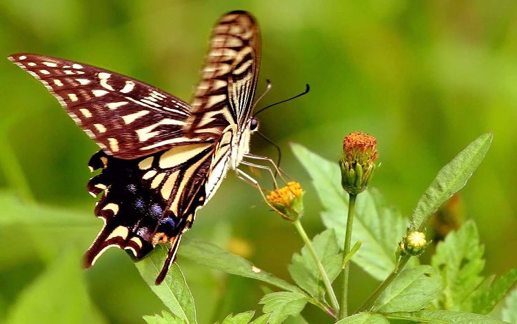 nEO_IMG_���� IMG_7464����.jpg