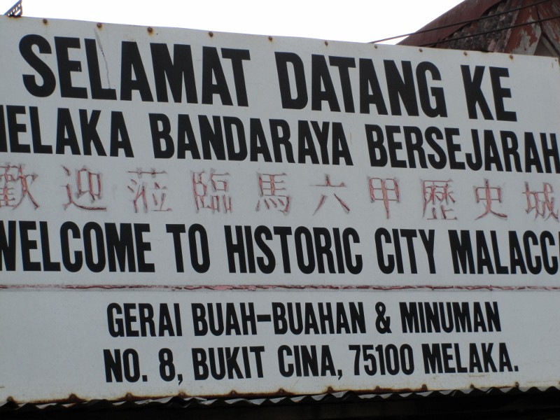 IMG_0253 (800x600).jpg