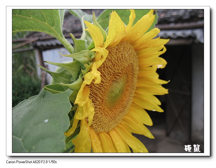 ÿ����ʱ�߹����ܼ��������տ���