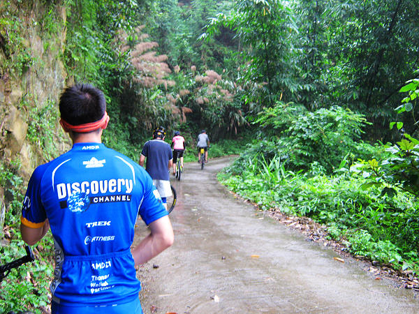 ��ͣ�˼���ǰ��