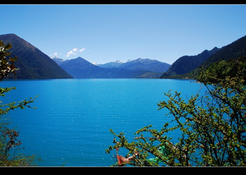 ���ɴ��ڲ����е���˼�ǡ����Һ���������֥�������������ء�����ƽ������3538��,��Լ15����,ƽ������2.5���� ...