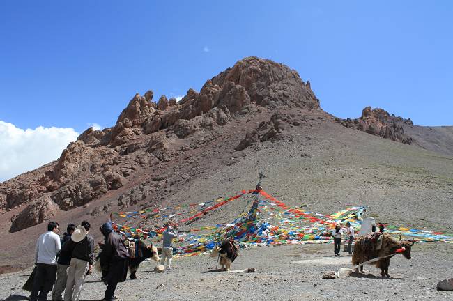 ����5Ԫ������