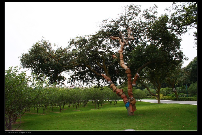 ��ѩ�ɻ� 087.jpg