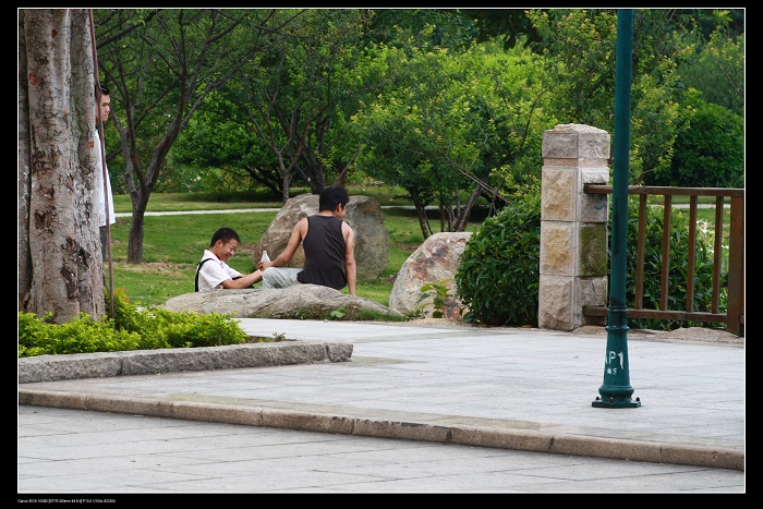 ��ѩ�ɻ� 069.jpg