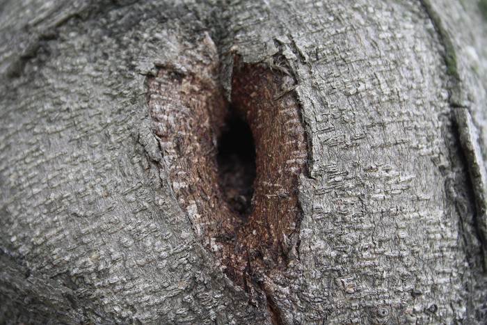 ��ѩ�ɻ� 021.jpg