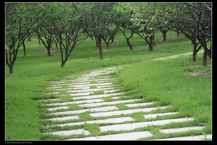 ��ѩ�ɻ� 074.jpg