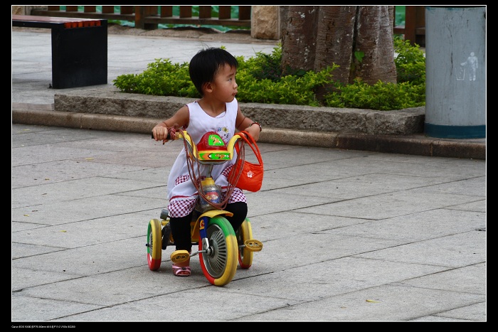 ��ѩ�ɻ� 071.jpg