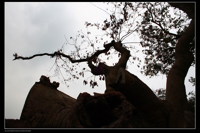 ��ѩ�ɻ� 088.jpg