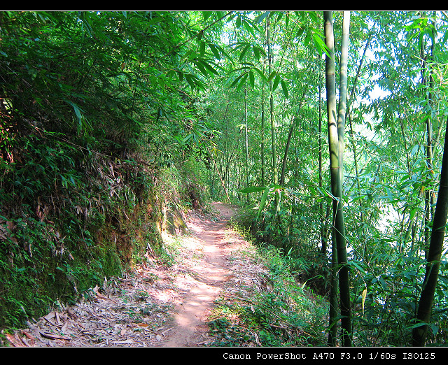 ʮ������