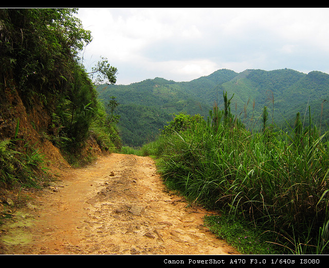 ������·�����ǴӶ���ɽ�Ϲ����ġ�С·��ϡ�ɼ���