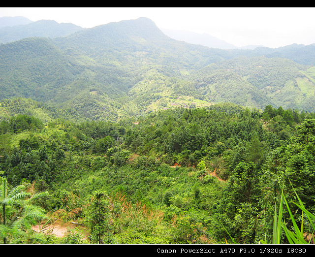 Ҫ�ߵ�·���ӽ�����·��ɽ�ٷ�������Ĵ�ɽ�͵������