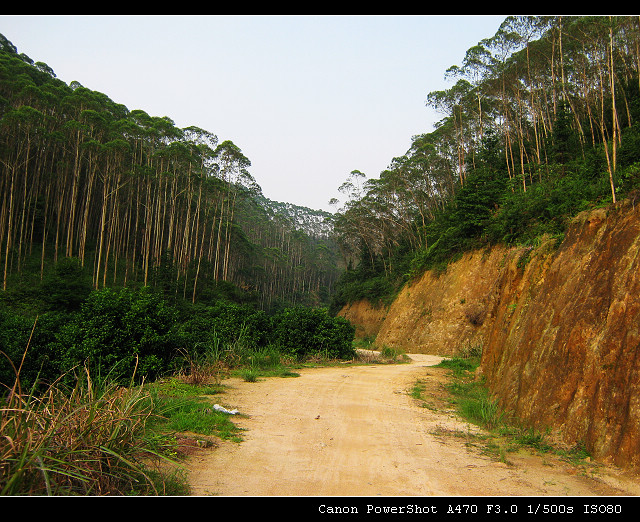 ��ص��ϳ���