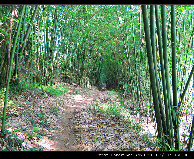 ʮ������