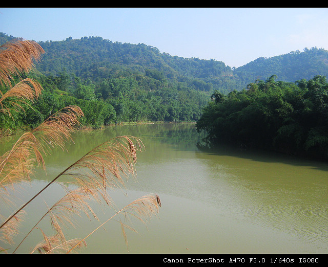 ʮ������