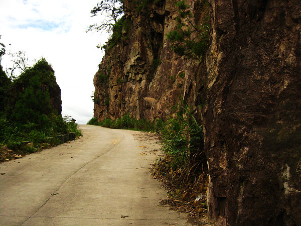 ���ŷ羰��