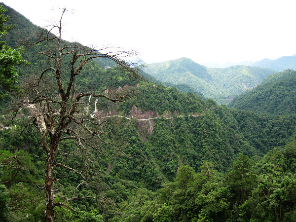 ���ŷ羰��