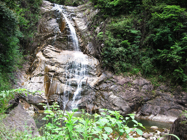 ��̶���ٲ�