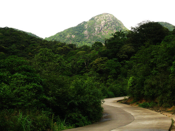 �㶫��һ��嶥