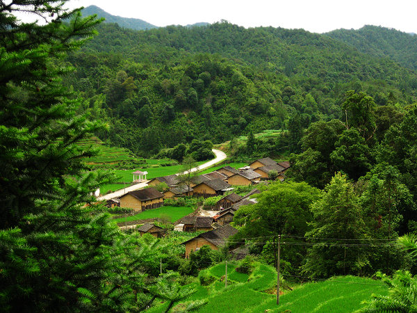 �����¶���