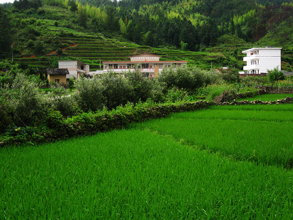 ̫ƽ��ϣ��Сѧ