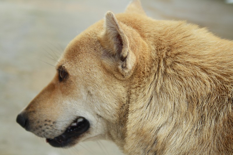 ���� 242.jpg