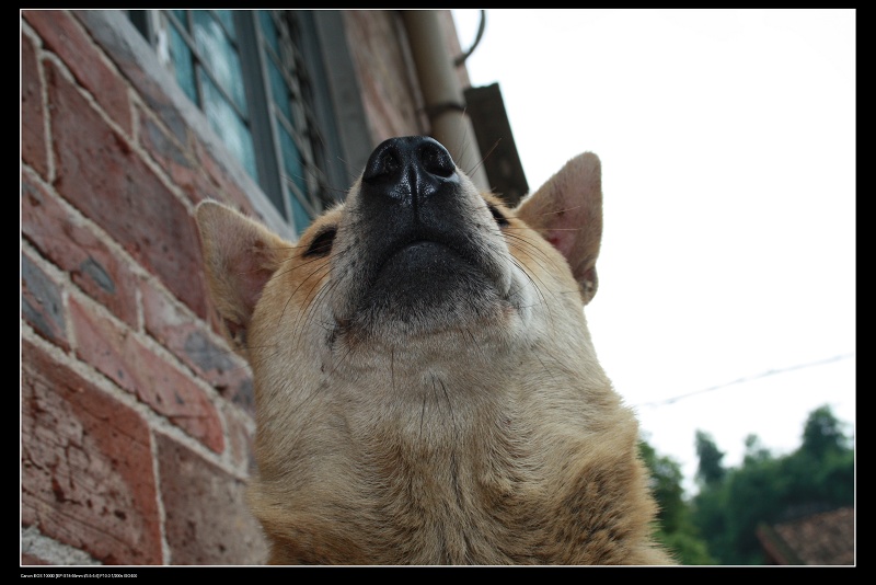 ���� 259.jpg