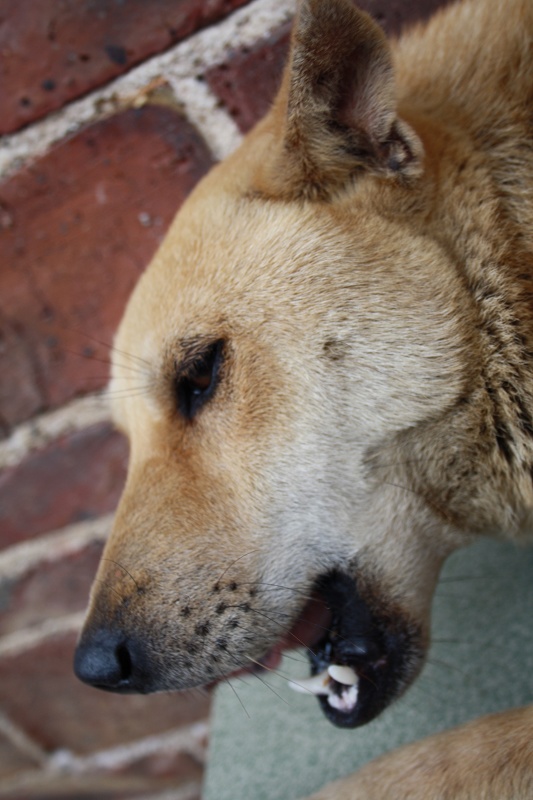 ���� 262.jpg