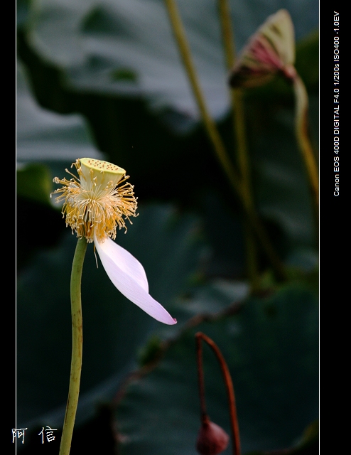 ��ת ��Ƭ 02005555_nEO_IMG.jpg