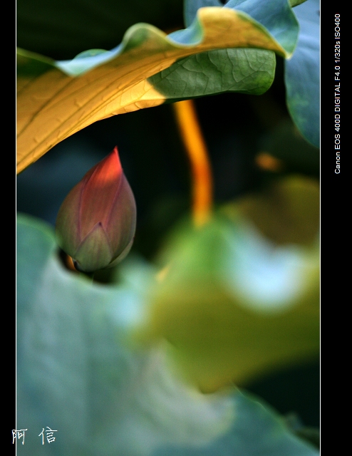 ��ת ��Ƭ 01000000_nEO_IMG.jpg