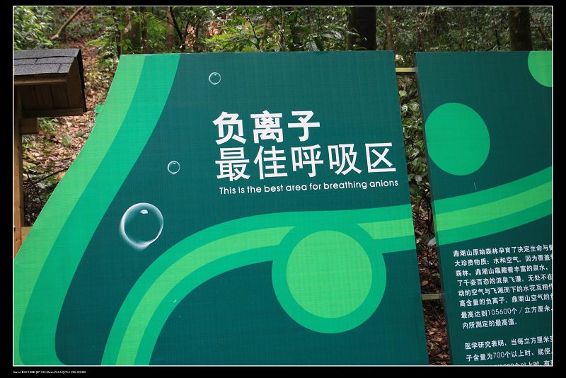 ���� 173.jpg