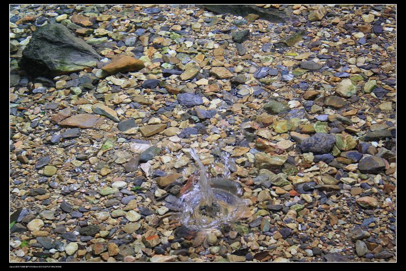 ���� 184.jpg