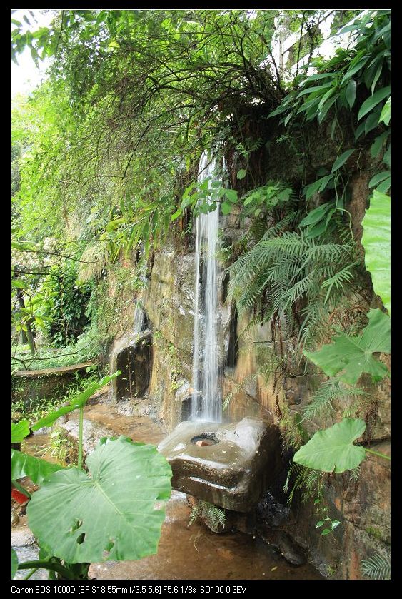 ���� 127.jpg