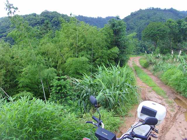 �����д�ˮ̲,Ҫ������