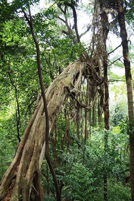 ���� 171.jpg