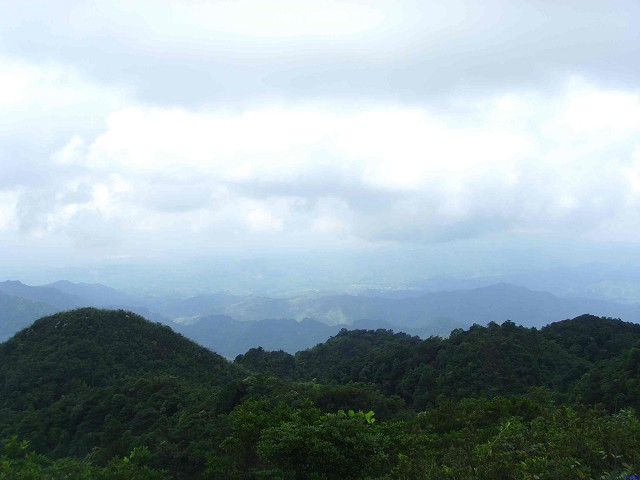 �������?