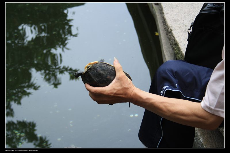 ���� 133.jpg