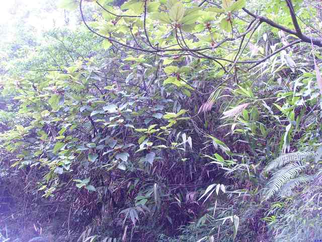 ��ʶ��,��֪��ʲô