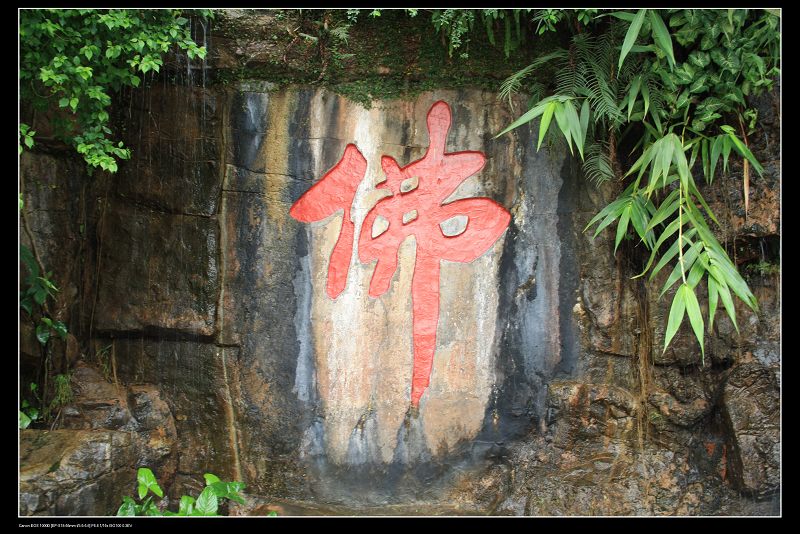 ���� 131.jpg