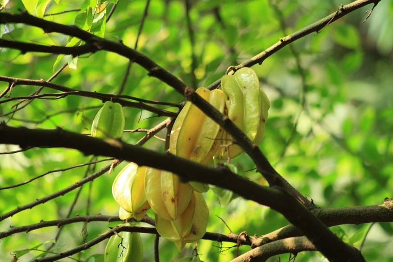 �����ʼ�ɽ 158.jpg