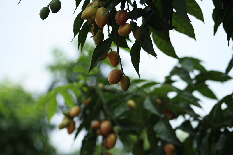 �����ʼ�ɽ 153.jpg