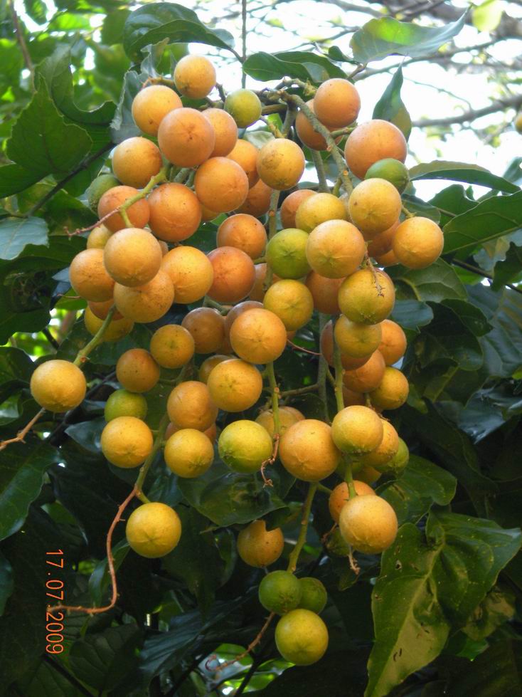 ������С DSCN0772.jpg