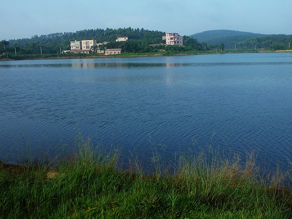 �����ĺ���